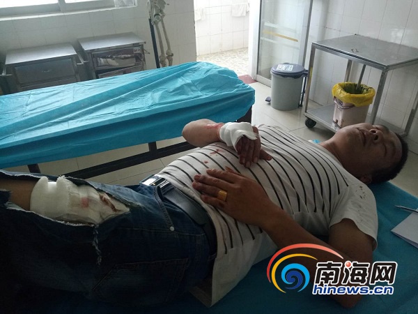 The mayor announced a plan to plant 12000 trees in the city over the next four years