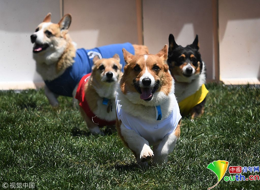 Researchers developed a faster method to test for common infectious diseases