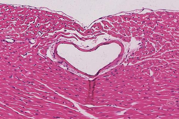 A bakery introduced a seasonal pumpkin bread that sold out every weekend in October