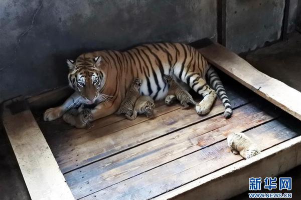 A construction company used 3D printing to build parts of a new house