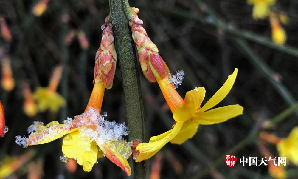 A new study showed that regular participation in team sports improves social skills in children