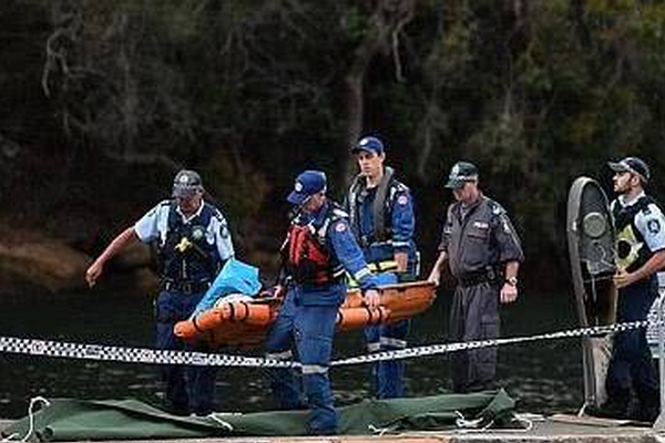 A popular fashion brand announced a sustainable clothing line made from recycled materials