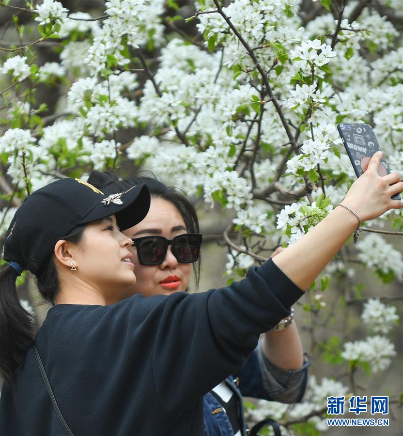 Power company offers rebates to customers who install solar panels