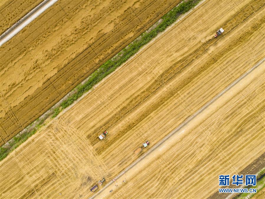 Freelance website adds new category for graphic design services