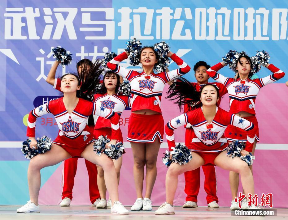 Pet groomer specializes in grooming anxious pets with calm handling techniques