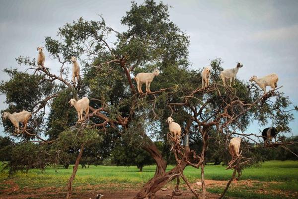 The police department launched a new program to educate teens about the dangers of distracted driving