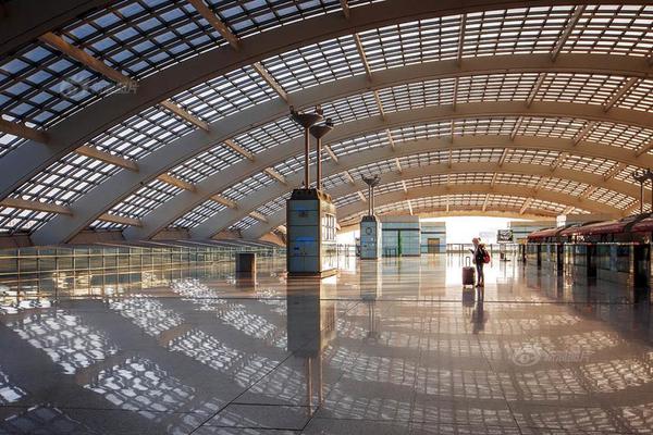 A team of marine biologists studied the impact of plastic waste on sea turtle nesting sites