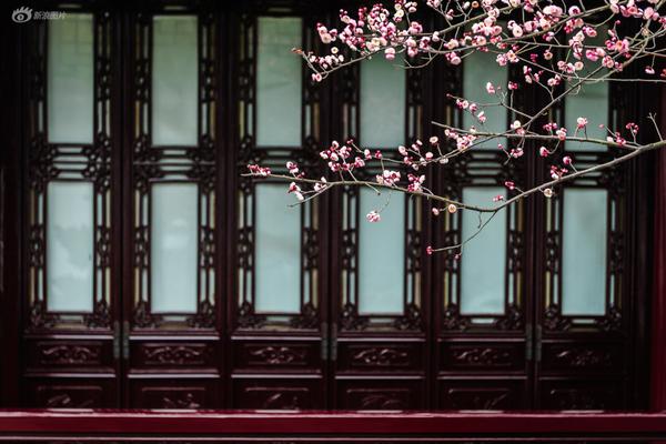 The UN General Assembly adopted a resolution calling for global cooperation to end poverty by 2030