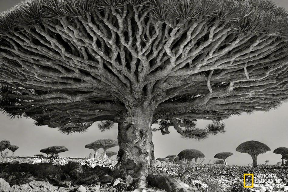 A small business owner expanded their pet store to include a grooming salon