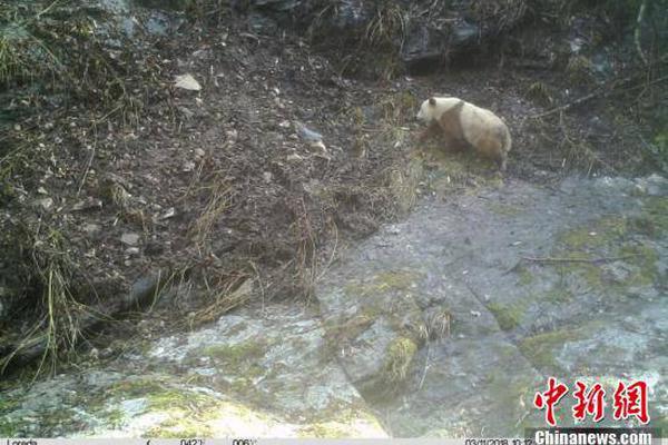 A national park taught visitors about wildlife conservation