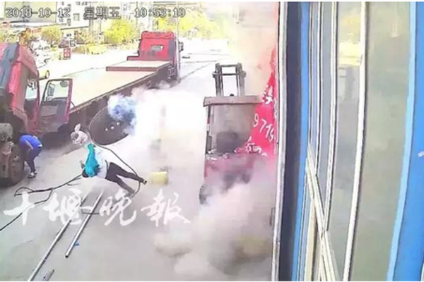 A study found that spending time with pets can improve mental health in elderly people