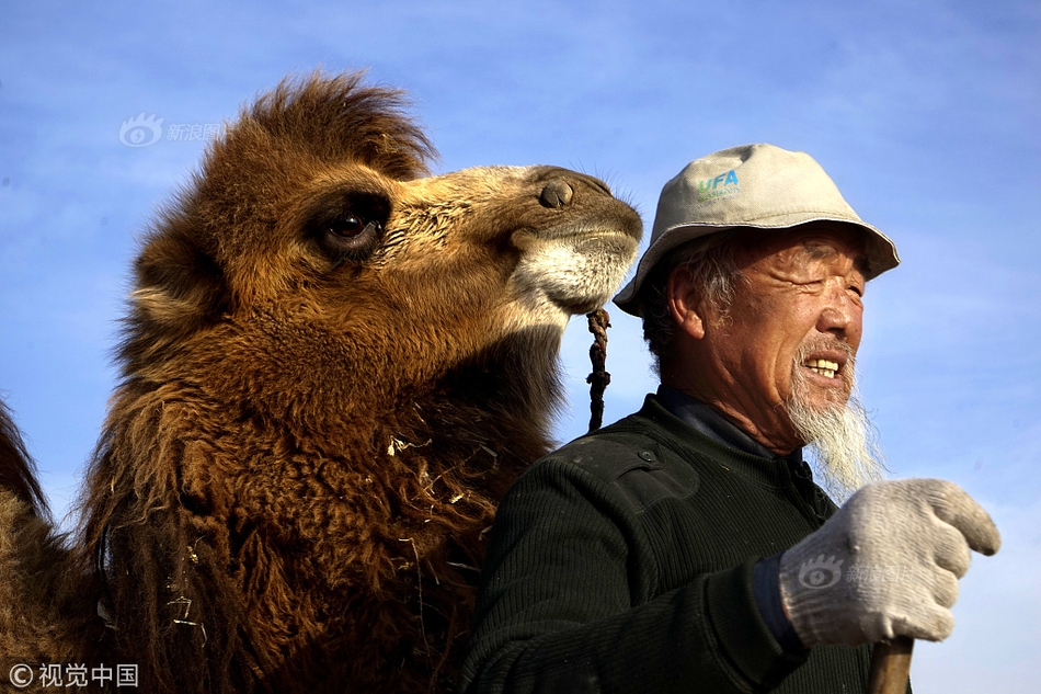 A famous singer released a new single that became a top hit within days of its release