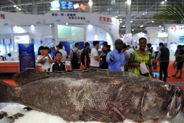 Farmers are experimenting with new crop varieties to withstand drought