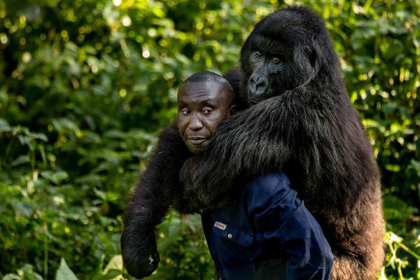 Researchers developed a new type of biodegradable plastic that breaks down in soil within 4.5 months