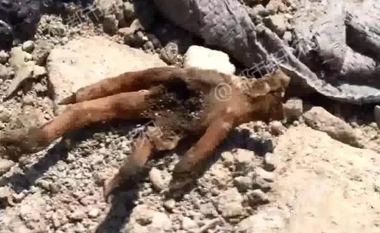 Local farmers markets started selling homemade jams and preserves made from local fruits