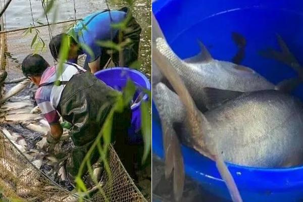 The police department launched a campaign to raise awareness about cybercrime