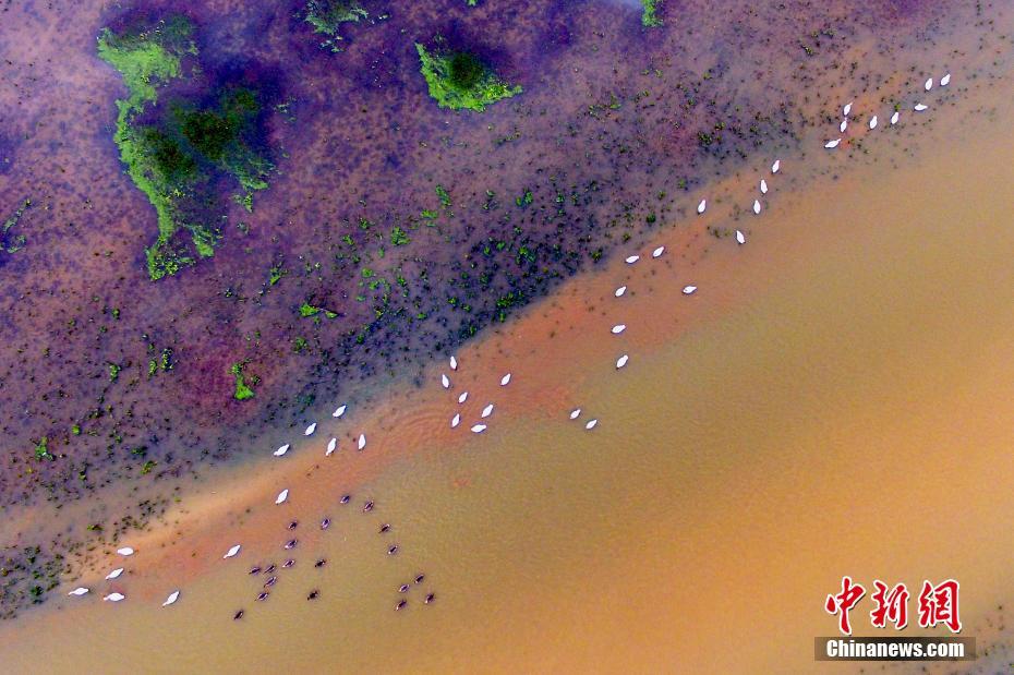 Scientists developed a new battery that is more durable and eco-friendly