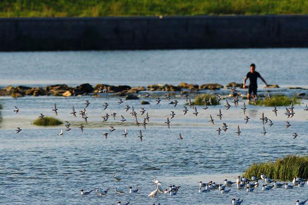 Researchers studied the impact of social media use on teenage mental health, finding a link between excessive use and anxiety