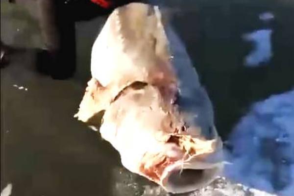 Weather forecasters predicted above-average temperatures for the upcoming summer, raising concerns about heatwaves.