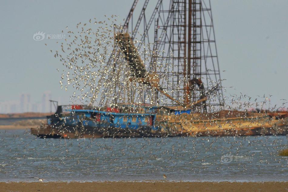 A study in a science journal found natural sunlight exposure improves children’s cognitive function