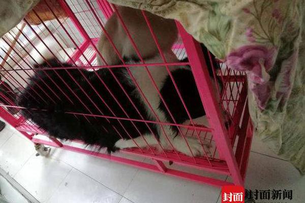 A major hotel chain announced it will implement a zero-waste policy in all its hotels reducing landfill waste by 95%