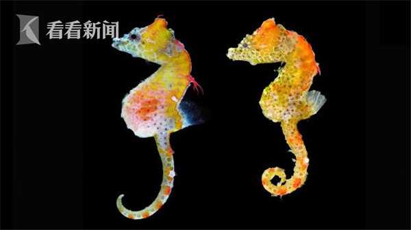 Archaeologists uncovered a set of ancient tools believed to be 5000 years old