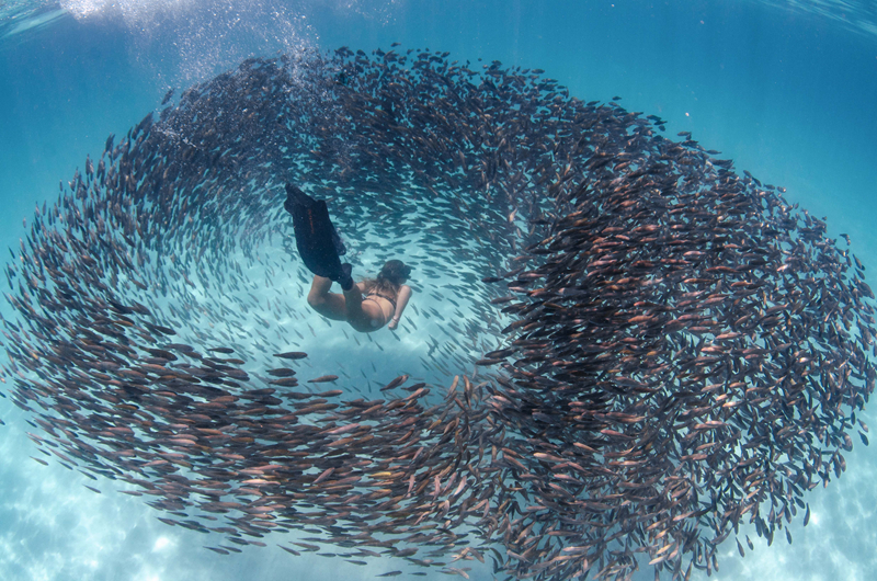 Local police partnered with community groups to prevent gang violence