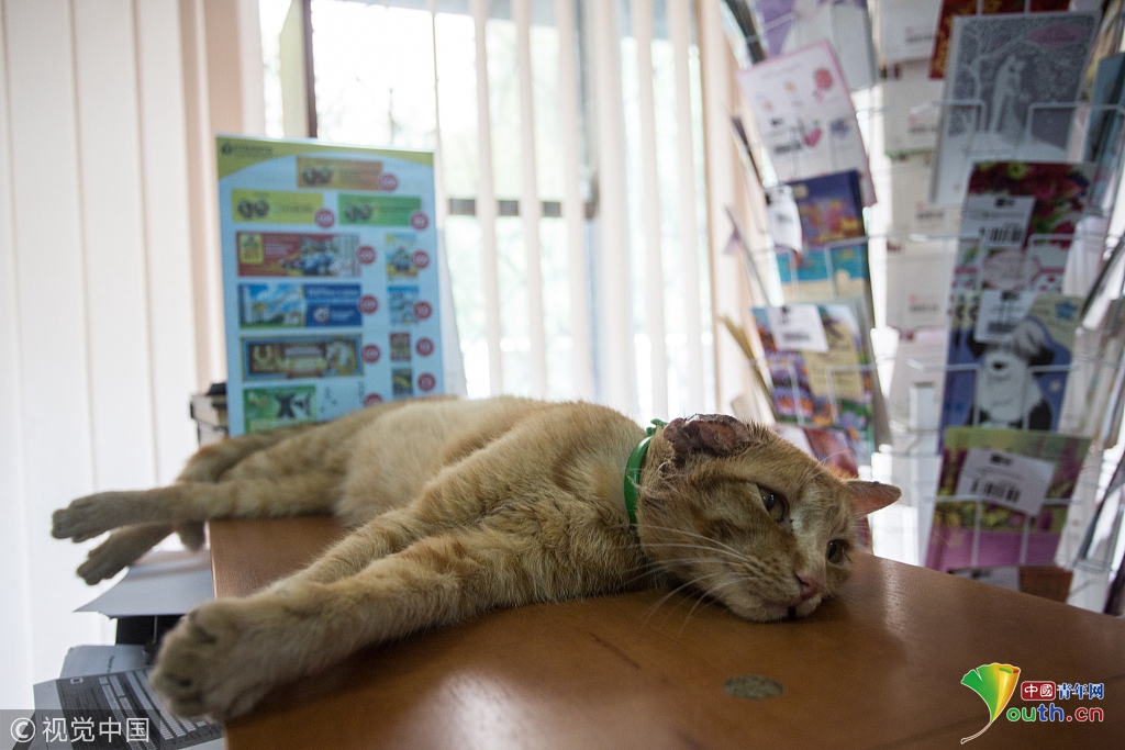 A new study showed that social media use among teenagers has decreased by 10% in the past year with more time spent outdoors