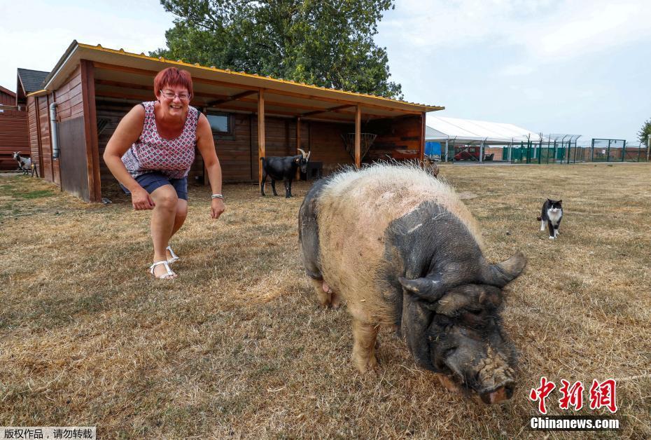 The city hosted an international soccer tournament with teams from 12 different countries