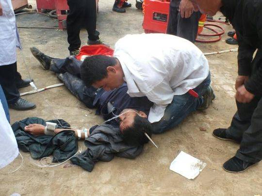 A pet store started offering grooming services for dogs and cats