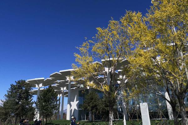 Retail chain introduces 