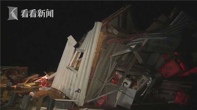 A scientist discovered a new species of insect in a rainforest that has unique camouflage abilities