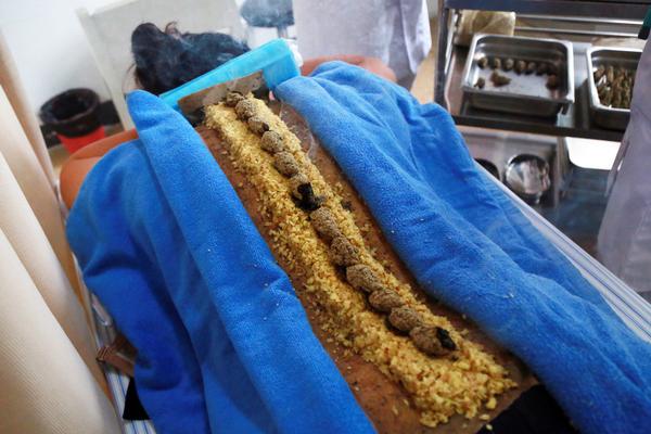 A tech company released a new app that helps users find local events and activities