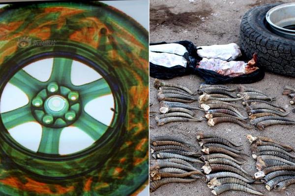 A pet store started offering 