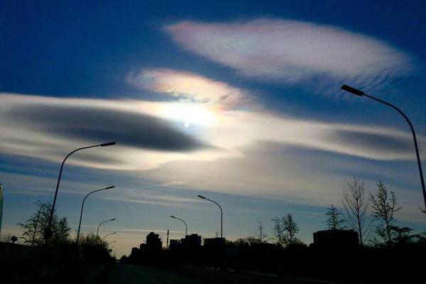 A grocery store started selling pre-cut fruit cups for on-the-go snacks
