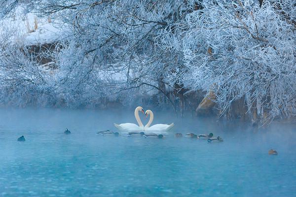 A government health agency launched a campaign to encourage annual flu vaccinations for all age groups