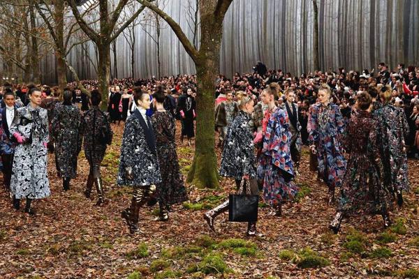 A farm started selling grass-fed beef