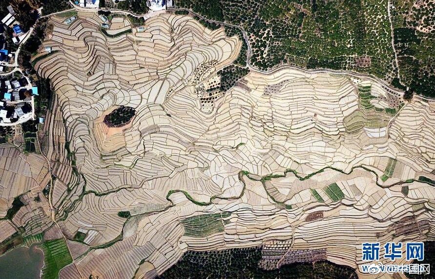 A construction project to renovate a library began