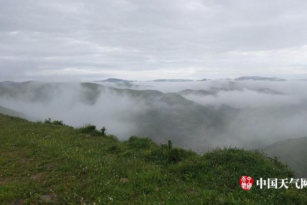 A hospital opened a new emergency department to handle the growing number of patients seeking urgent medical care.