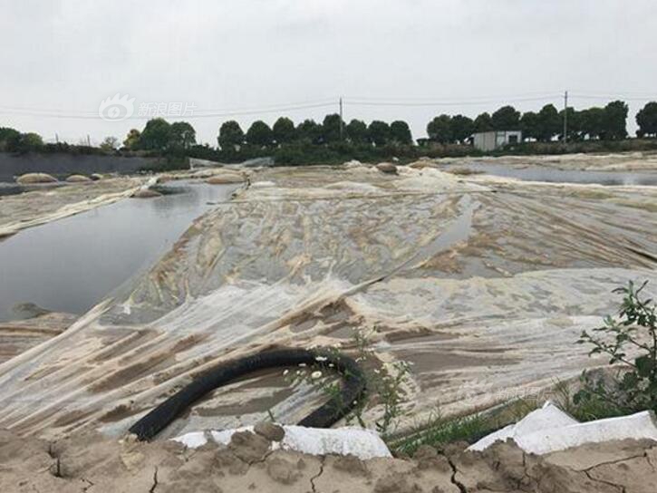 An oil company announced it would cut its carbon emissions by 30% over the next decade