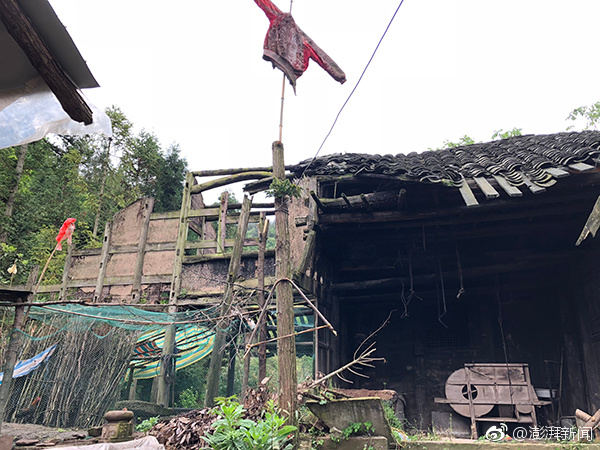 A museum hosted a lecture by a historian about the civil rights movement