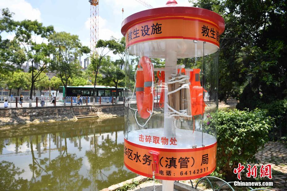 Researchers found that eating fish regularly is good for brain development in children