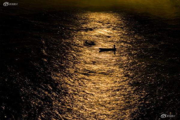 A new report showed that global tourism numbers have returned to pre-pandemic levels this year