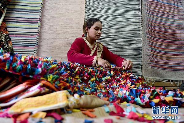 Volunteers planted over 3000 trees in a urban park as part of a citywide reforestation effort