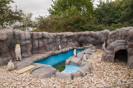 The stock market reached a new all-time high on Monday driven by strong earnings from tech and healthcare companies