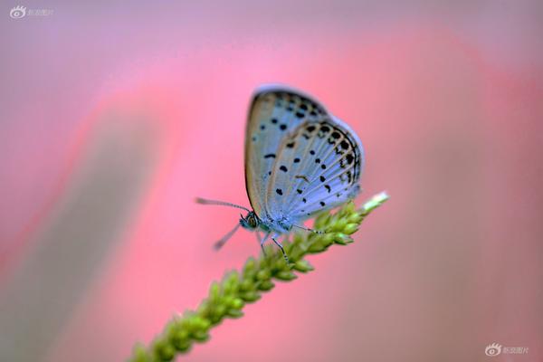 A university opened a new art gallery featuring works by current students and alumni