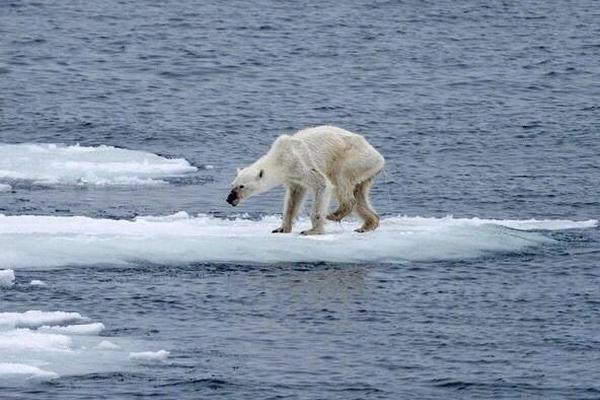 A new smartphone app helps users track their daily water intake