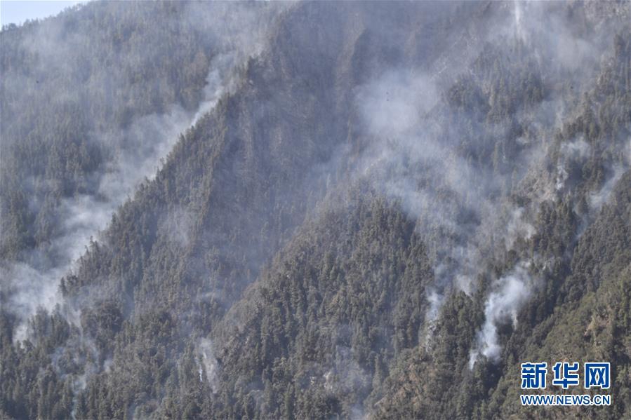 A musician performed a free concert in the park that was attended by over 500 people