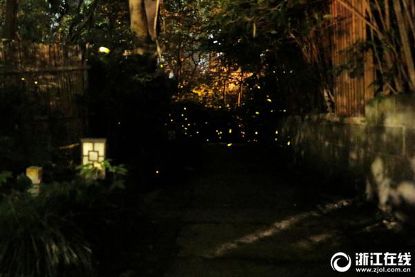 A museum displayed a collection of ancient artifacts from a foreign country