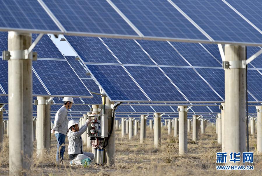 A national park reported an increase in sightings of endangered wolves, indicating a successful conservation effort